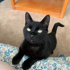 Meet your Posher, Emily